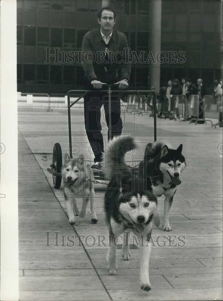 1981 Press Photo Demonstration of dog sled training at Montparnasse in France - Historic Images