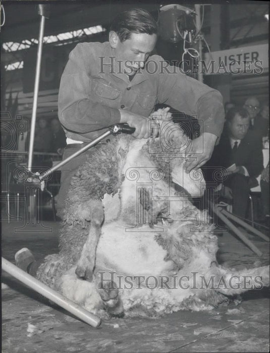 1965 Press Photo Young Sheep Shearer in Paris Agricultural Show - Historic Images