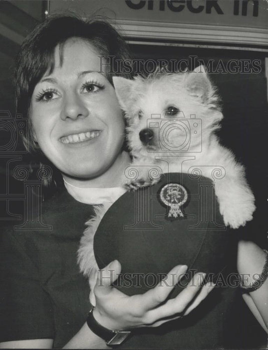 1972 Press Photo Dogs Purchased at Cruft's Dog Show Off to America - Historic Images