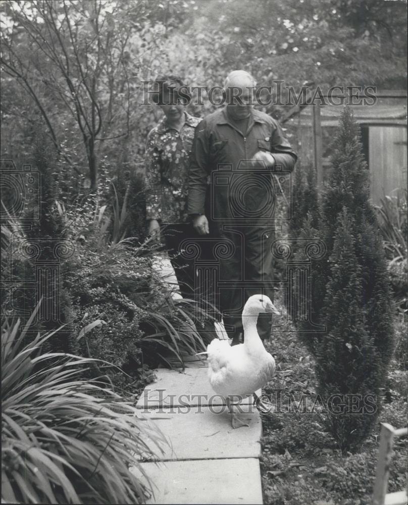 Press Photo Mr and Mrs Eric Jeffery and a goose - Historic Images