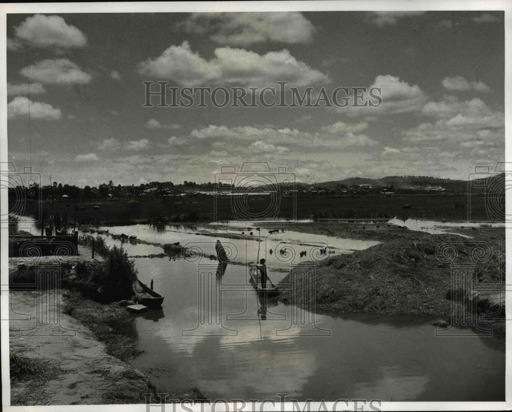 1961 Press Photo The rice fields surrounded with the Tanana River waters - Historic Images