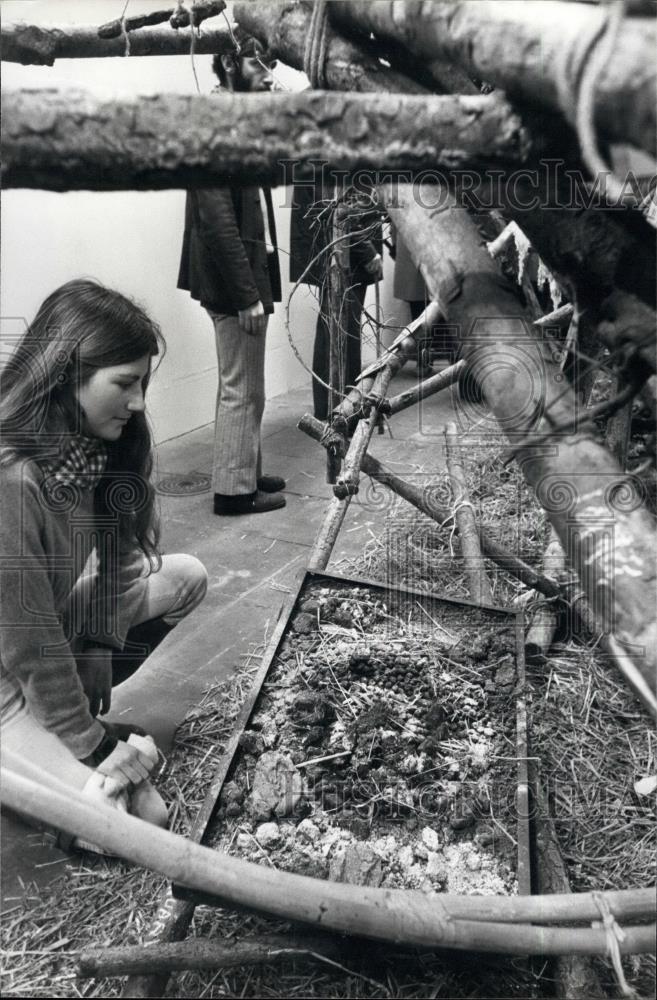 1981 Press Photo Serpentine Gallery in Kensington Gardens - Historic Images