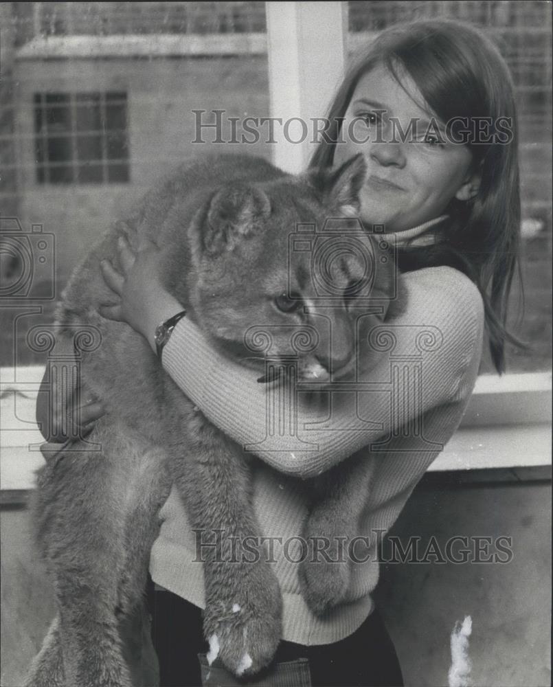 Press Photo Sheba, a 6 month puma lives with the Hurst family - Historic Images