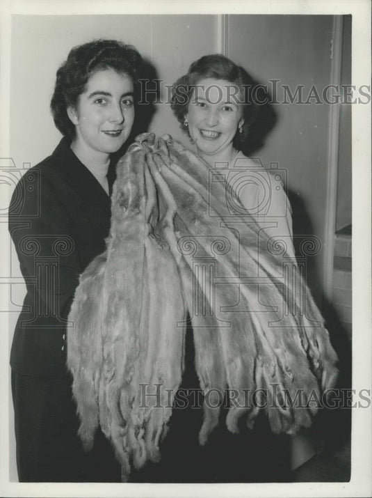 1956 Press Photo Annual Pelt Show At The Hodson's Bay FurCompany - Historic Images