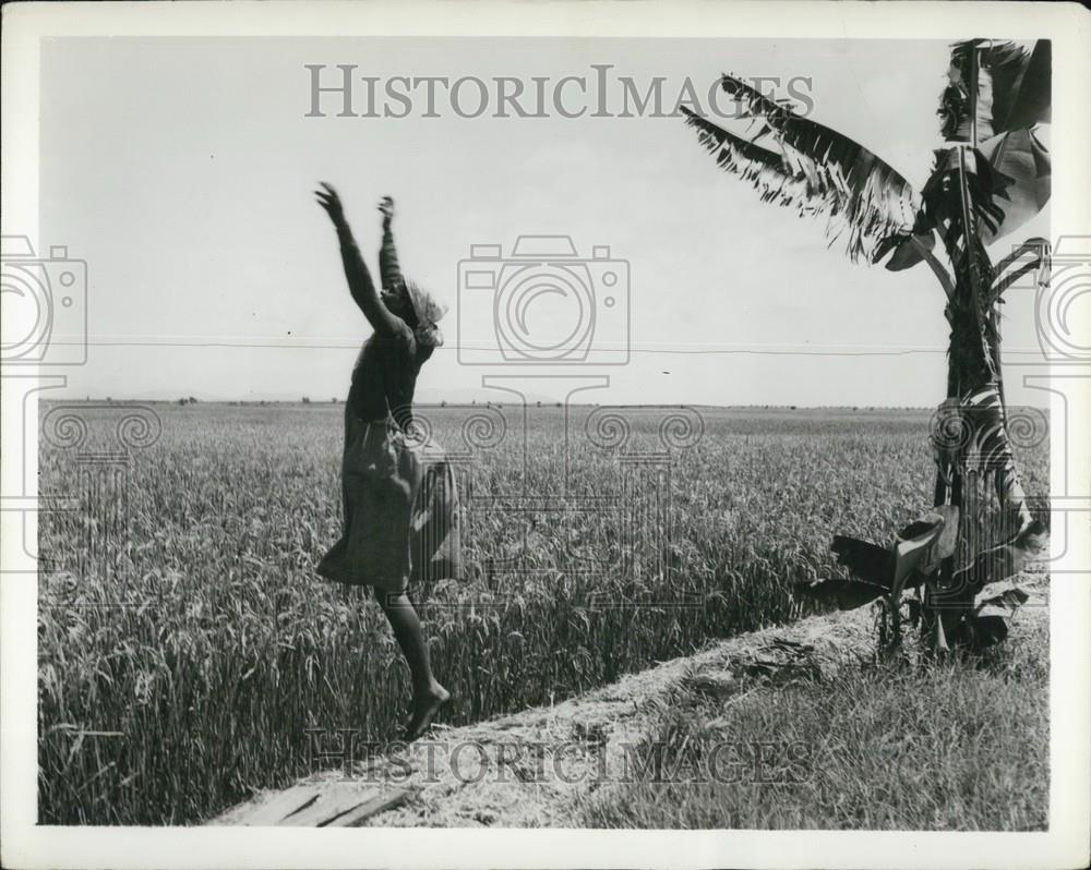 Press Photo Kenya- Kikuyu farming: Nduta Kimani, wife of a Kikuyu farmer - Historic Images