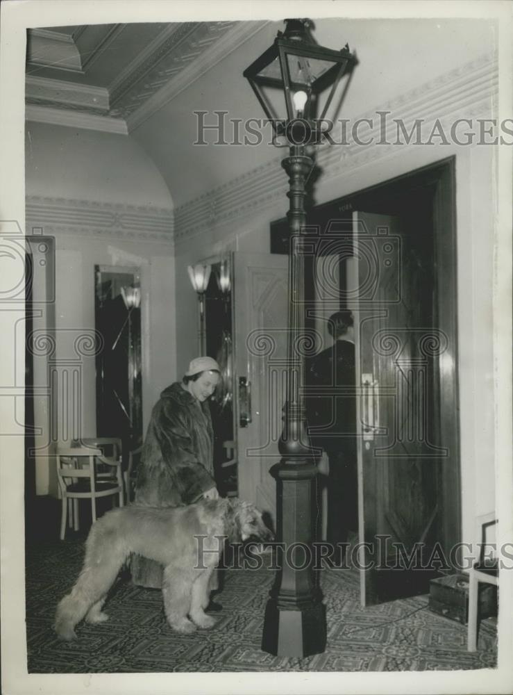 Press Photo Canine Insurance Association host&#39;s the Dog&#39;s Dinner - Historic Images