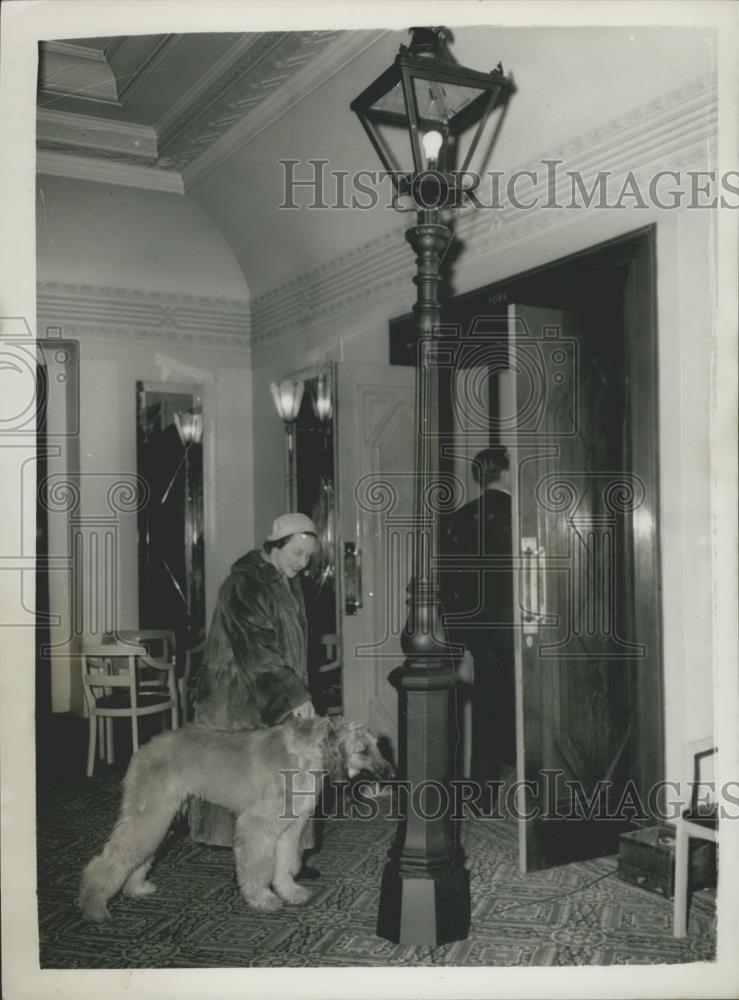 Press Photo Canine Insurance Association host's the Dog's Dinner - Historic Images