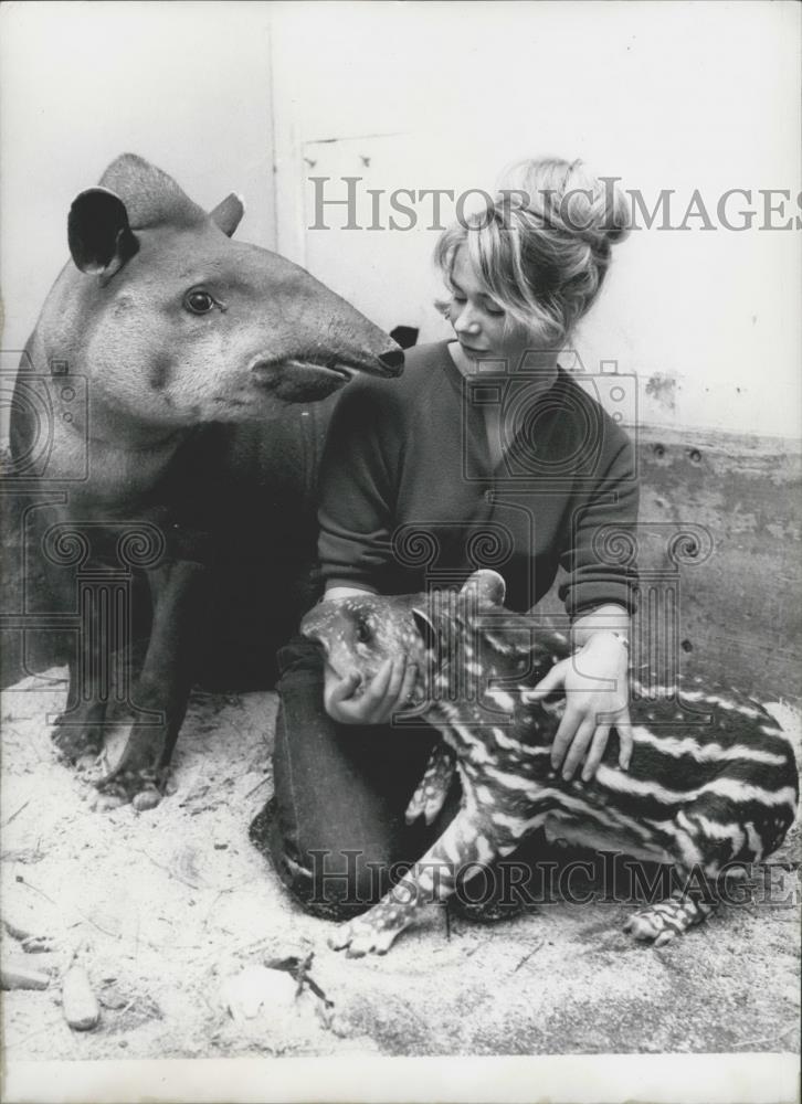 Press Photo Zoology Student Ruth Heller Works At Frankfurt Zoo - Historic Images