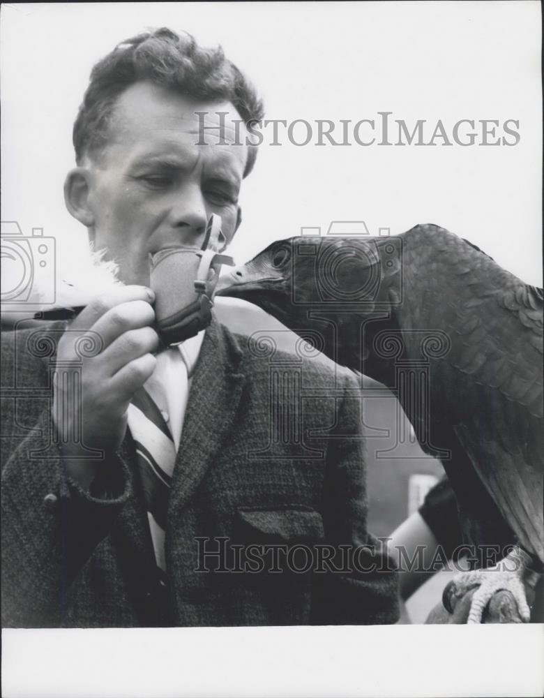 Press Photo Mr. Oswald training a bird - Historic Images