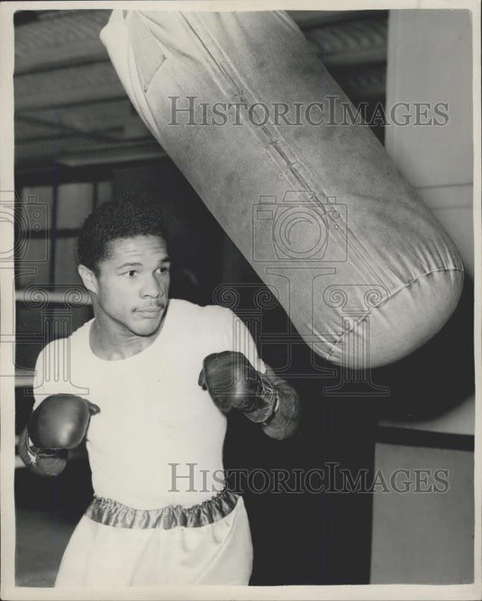 1953 Press Photo Pomprey For Harringay Contest - Historic Images