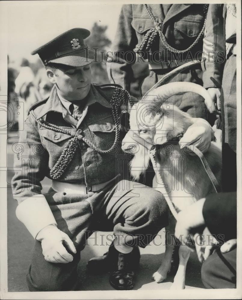 1953 Press Photo The Welch Regiment and new mascot,a goat - Historic Images