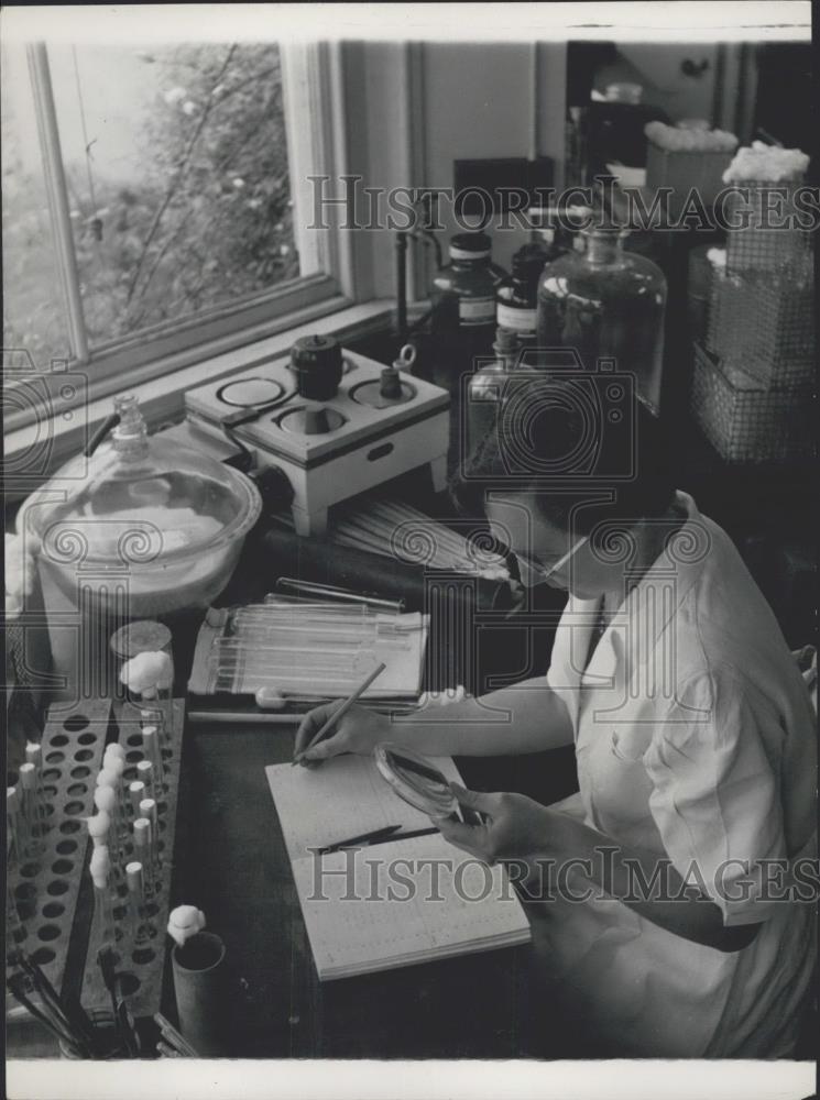 Press Photo Bacteriology Dept. At National Institute For Research In Dairying - Historic Images