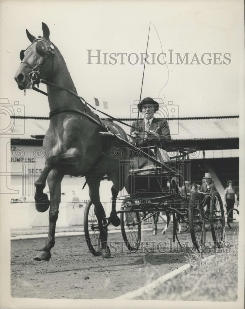 1953 Press Photo International Horse Show At White City - Historic Images