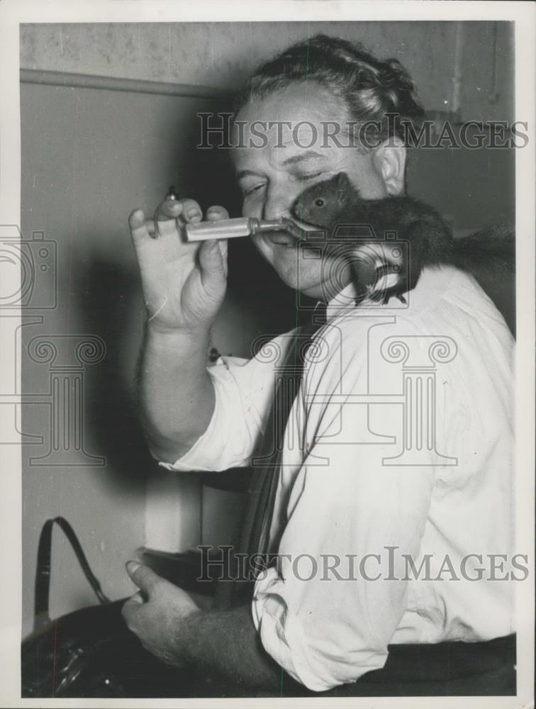 Press Photo Small squirrel drinks from eye dropper - Historic Images