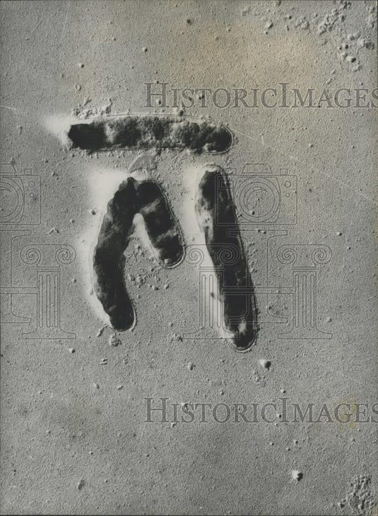 Press Photo Tubercular bacillus of the avian type enlarged 23,000 times - Historic Images