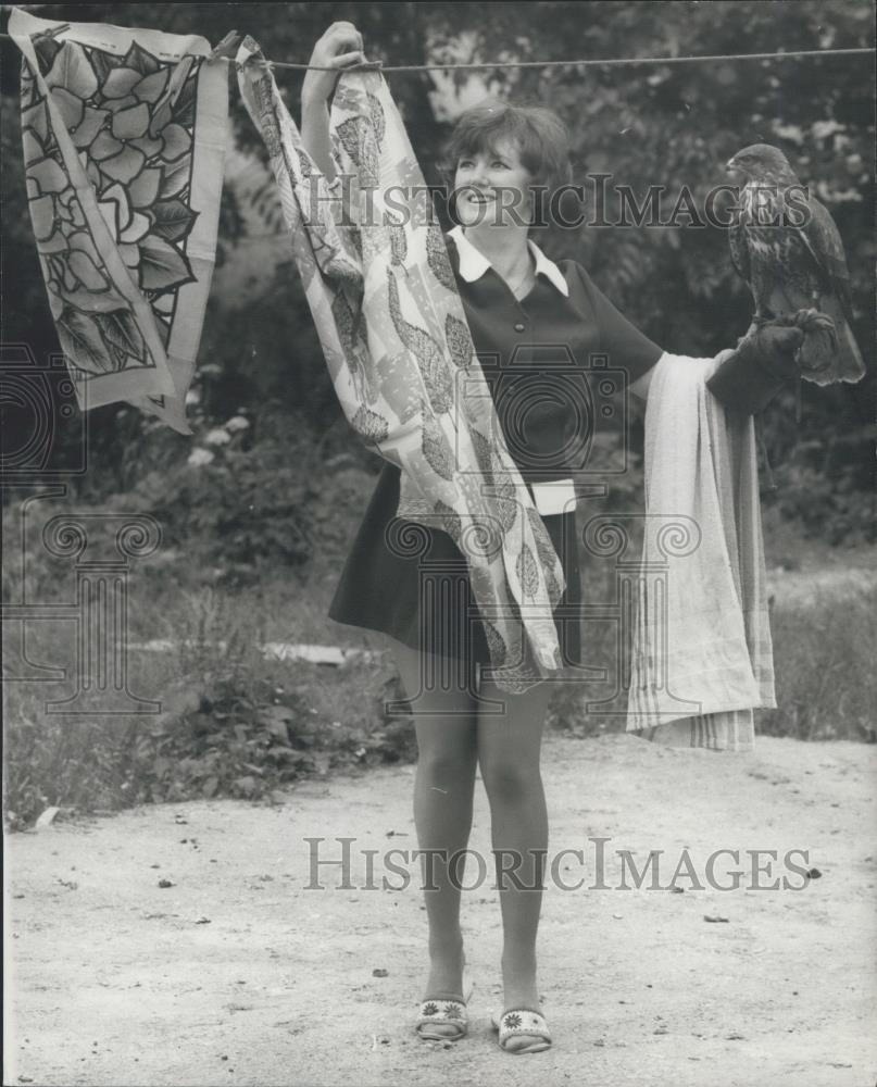 Press Photo Buzzard, Mrs Pat Edgar, Golley Rossett, Denbighshire - Historic Images