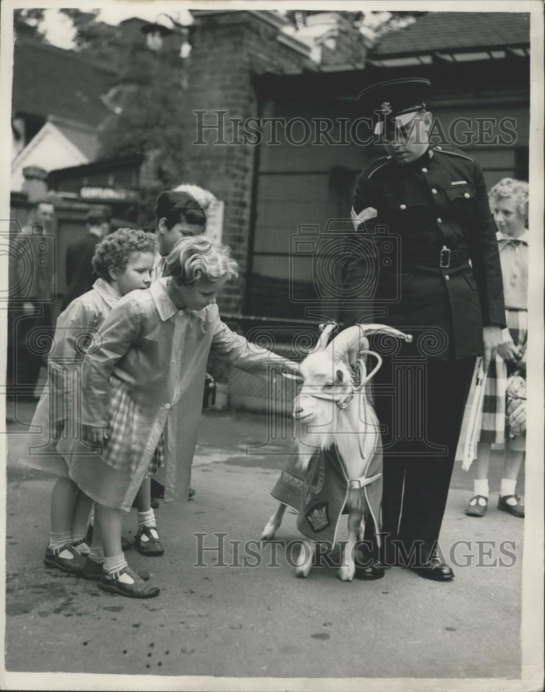 Press Photo London Zoo,goat mascot for the Welsh regiment - Historic Images