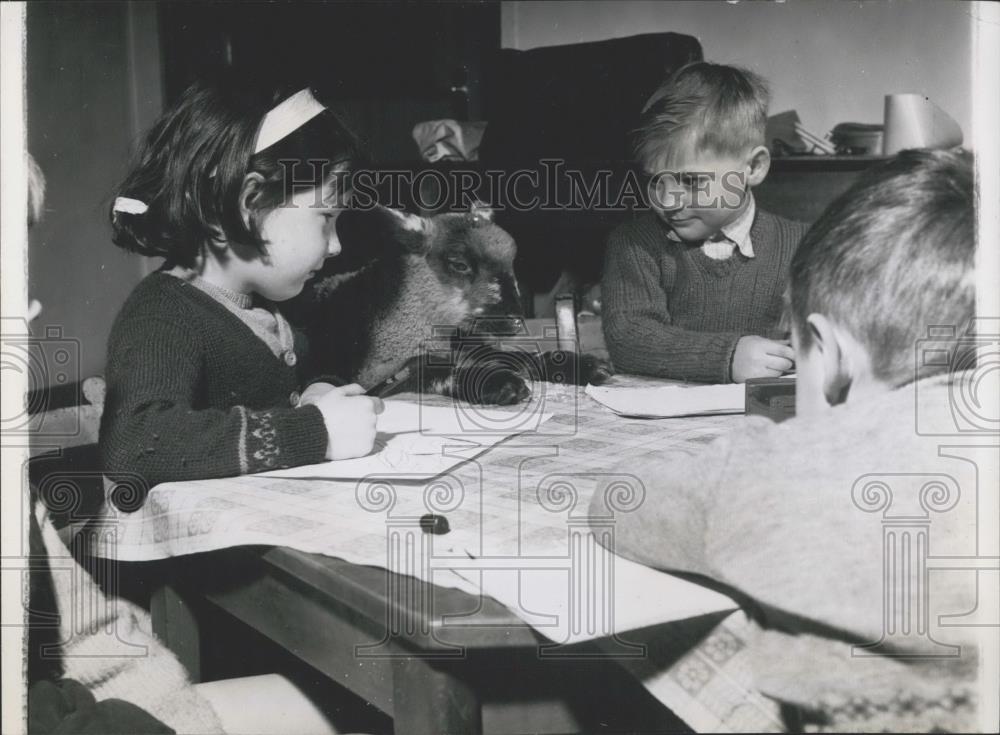 Press Photo A lamb and some schoolchildren - Historic Images