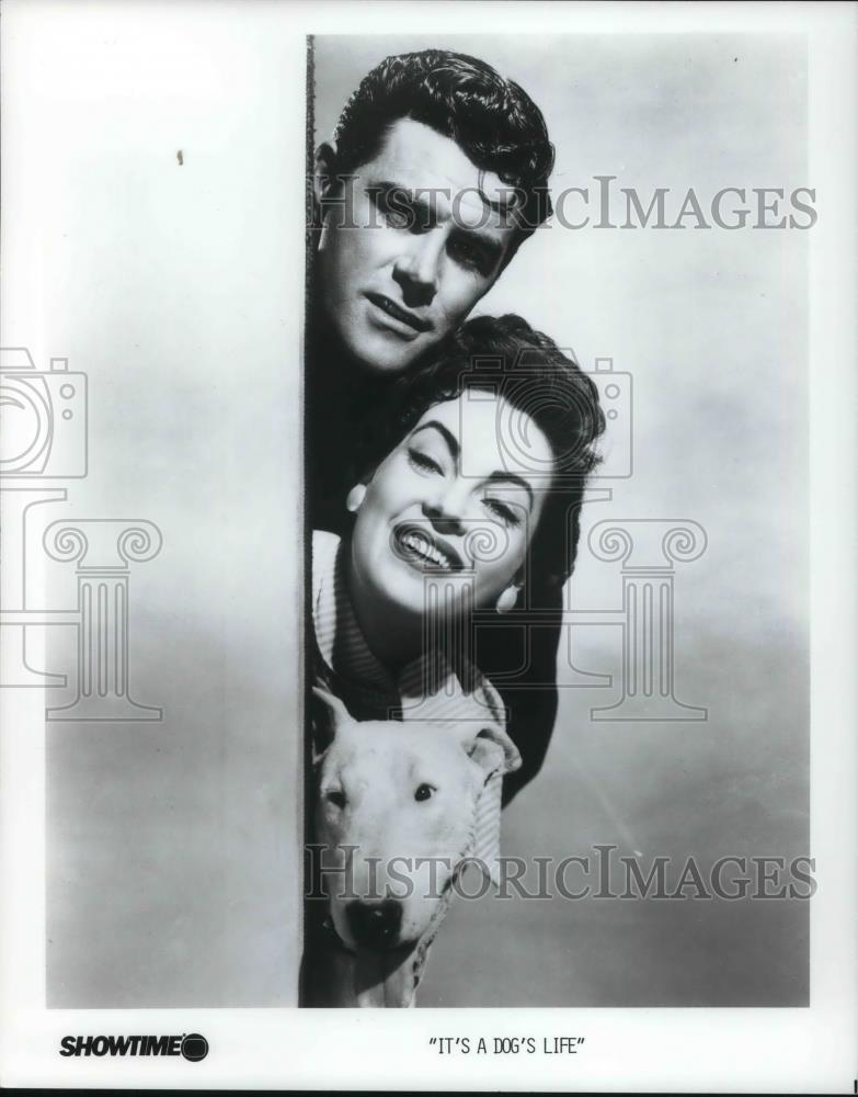 1985 Press Photo Photo from the movie It's A Dog's Life - cvp22061 - Historic Images