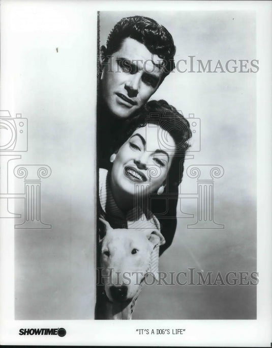 1985 Press Photo Photo from the movie It's A Dog's Life - cvp22061 - Historic Images