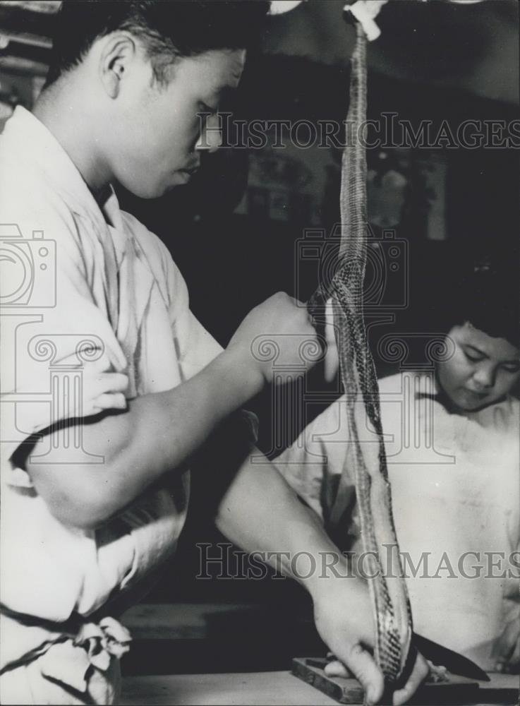 Press Photo Snakes being prepared in Toyko restaurant - Historic Images