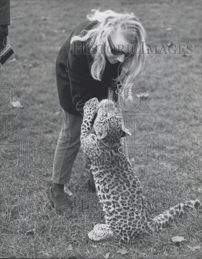 Press Photo Michael is a friendly young leopard - Historic Images