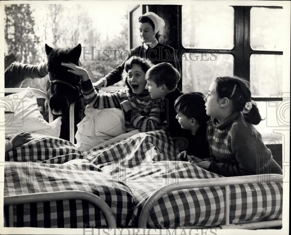 1972 Press Photo Pony Visiting Children&#39;s Heart Hospital Patients West Wickham - Historic Images