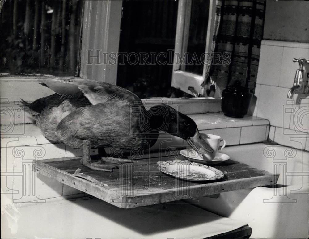 Press Photo Every morning Mr. Drake makes a good breakfast - Historic Images