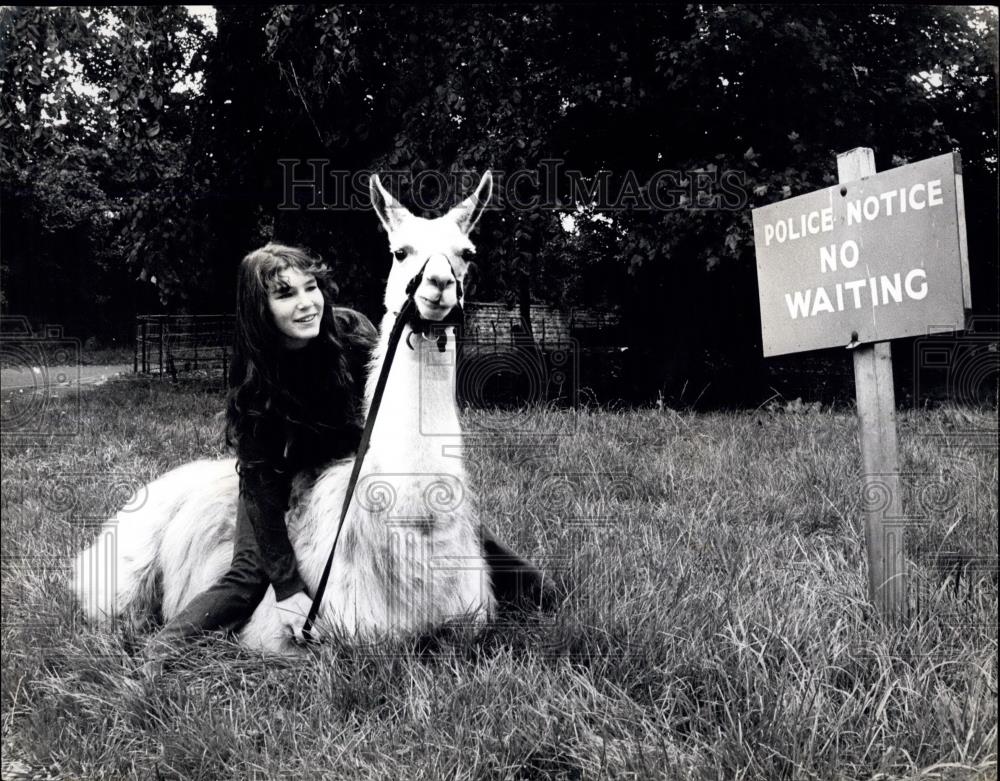 Press Photo Julie Cook and her llama - Historic Images