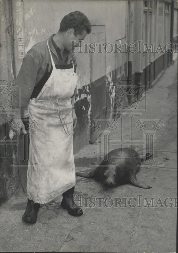 1959 Press Photo Toto the seal and his master - Historic Images