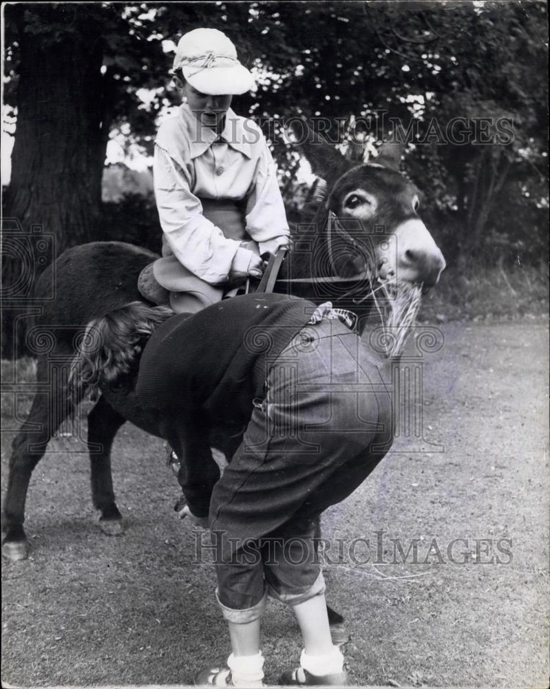 Press Photo Woodfield Billy, Chailey Grand national, Donkey Derby - Historic Images