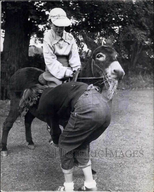Press Photo Woodfield Billy, Chailey Grand national, Donkey Derby - Historic Images