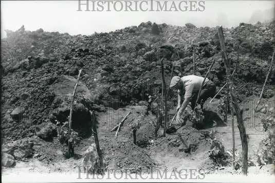 1971 Press Photo Mount Etna - Historic Images