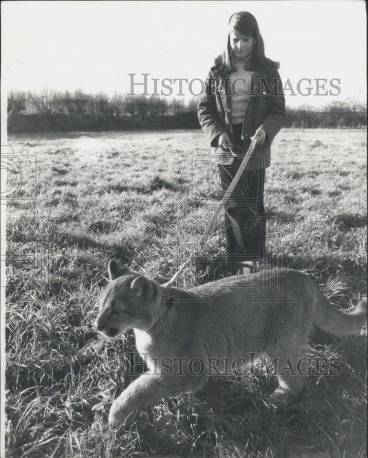 Press Photo Sheba,six month old puman and girl handler - Historic Images