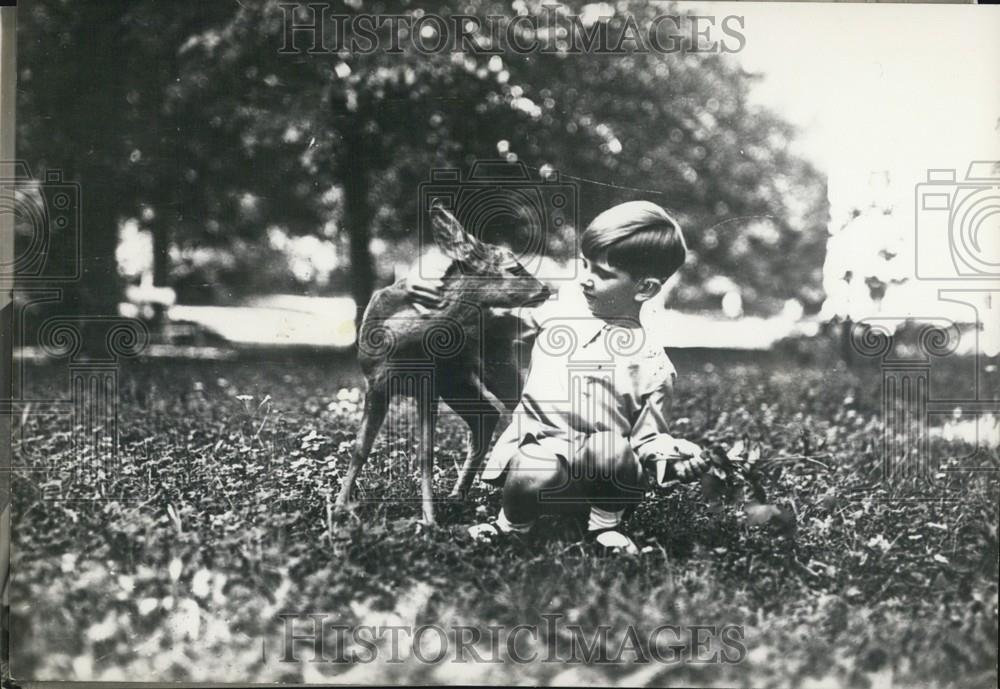 Press Photo Crown Prince Peter Baby Deer Fashion Show Jacques Fath&#39;s - Historic Images