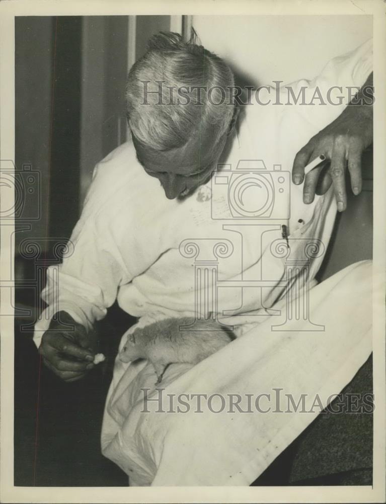 1935 Press Photo Jimmy,a ratreceiving a bite of food from D.R.E Dyer. - Historic Images