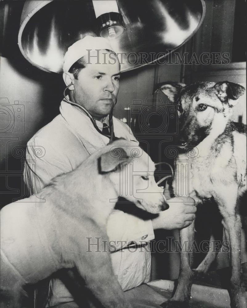 1959 Press Photo Soviet surgeon Wladimir Demichow & dogs he gave 2 hearts to - Historic Images