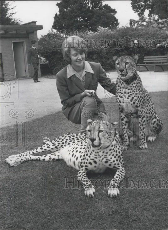 1965 Press Photo Whipsnade Park,Sandra Starling & 2 cheetahs - Historic Images