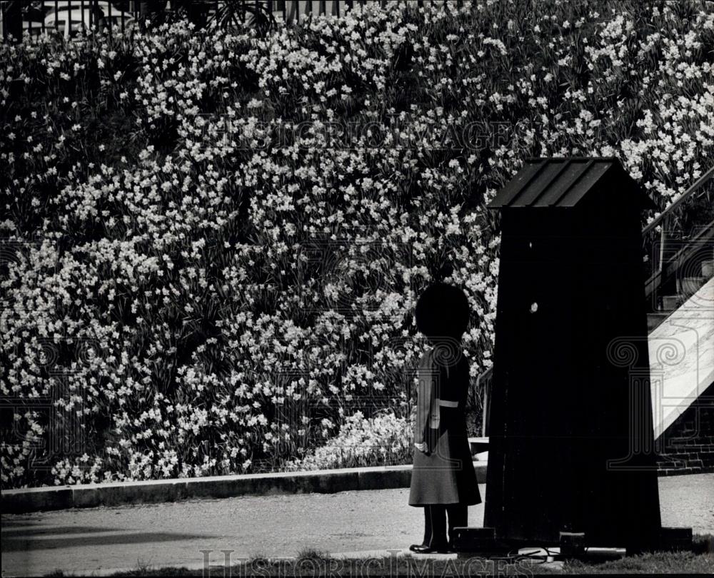 1967 Press Photo Sentry Stands guard At The Tower Of London - Historic Images