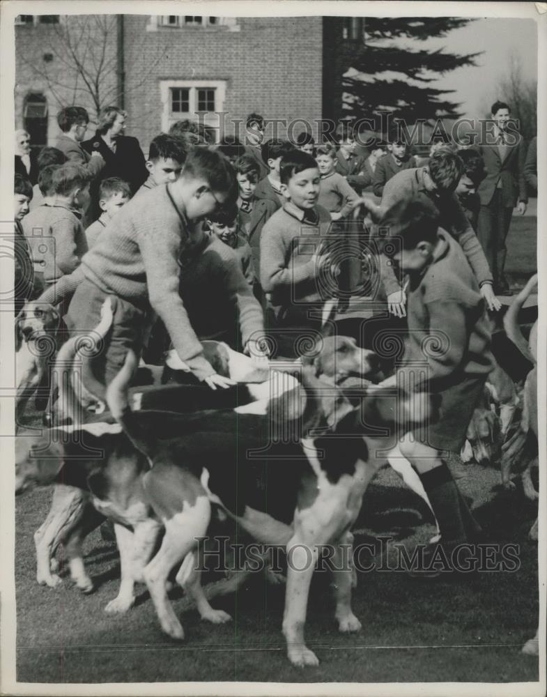 Press Photo Old Surrey & Burstow hunt club.Kids and hounds - Historic Images