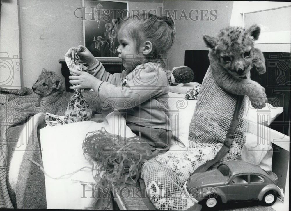 Press Photo Little Girl playing in her room with her Tiger Cubs - Historic Images