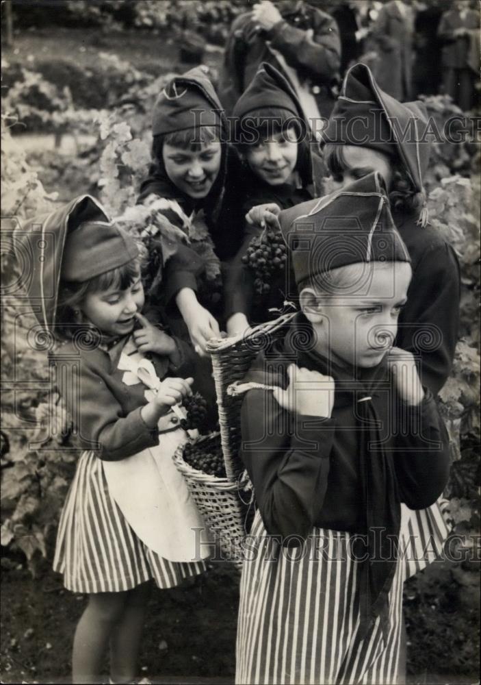 1956 Press Photo Montmartre Kids Grape Harvesting - Historic Images