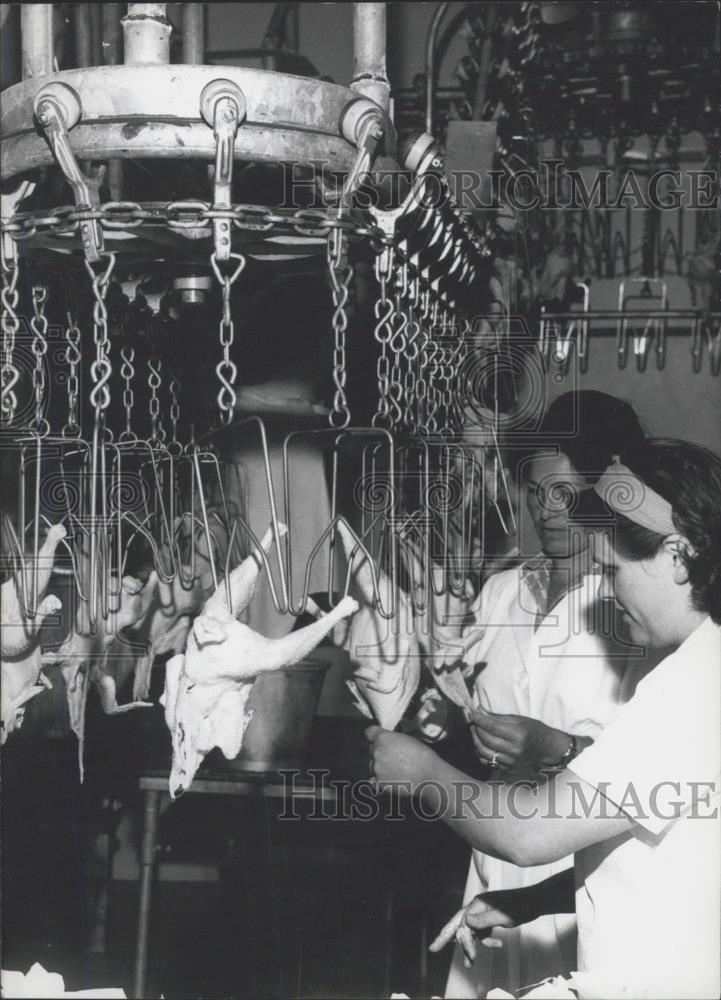 1963 Press Photo Poultry-butcher in Wurttemberg (Weilheim on Teck). - Historic Images