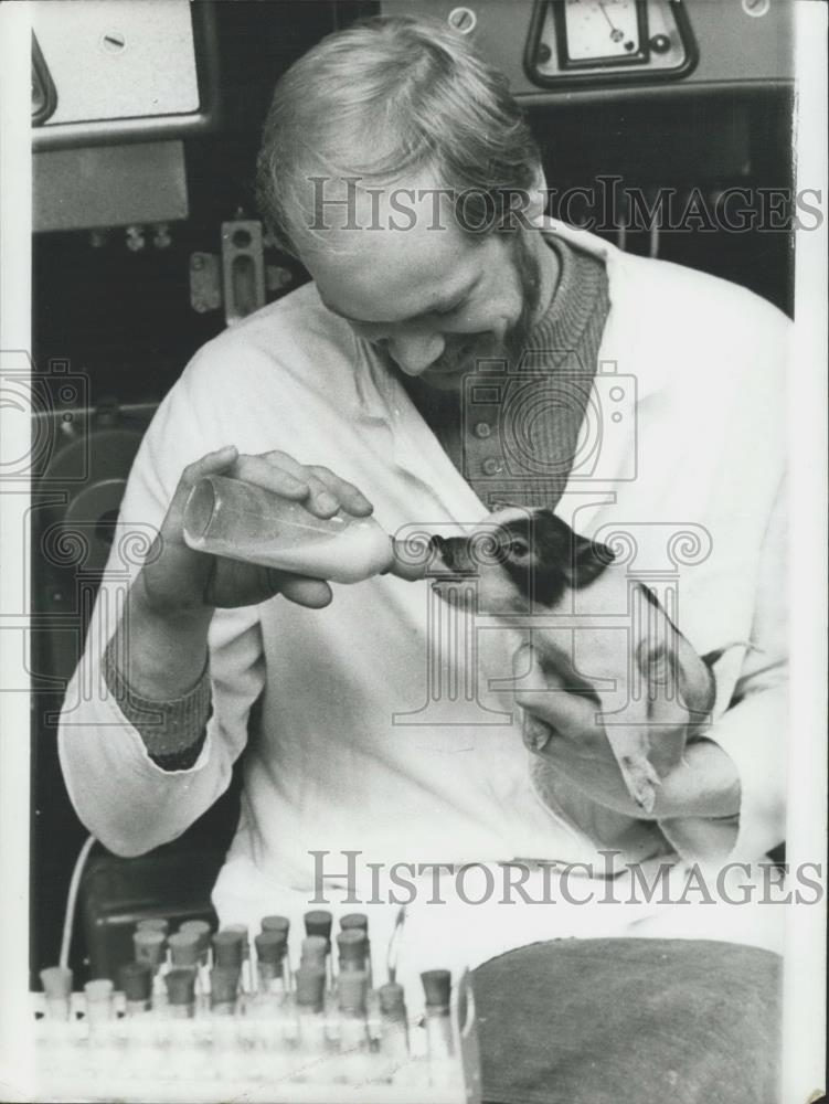 1981 Press Photo Biological Researcher Feeds Baby Pig - Historic Images