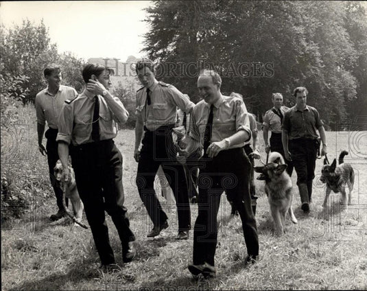 1968 Press Photo Police and dogs search for a criminal - Historic Images