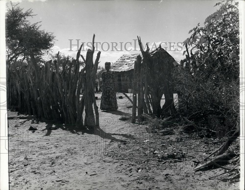 Press Photo Man In South West Africa Herero Hut - Historic Images