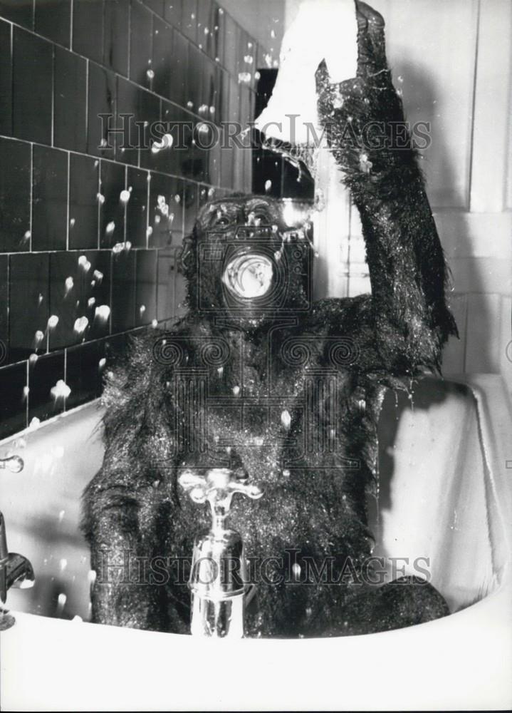 Press Photo A monkey in the bathtub - Historic Images