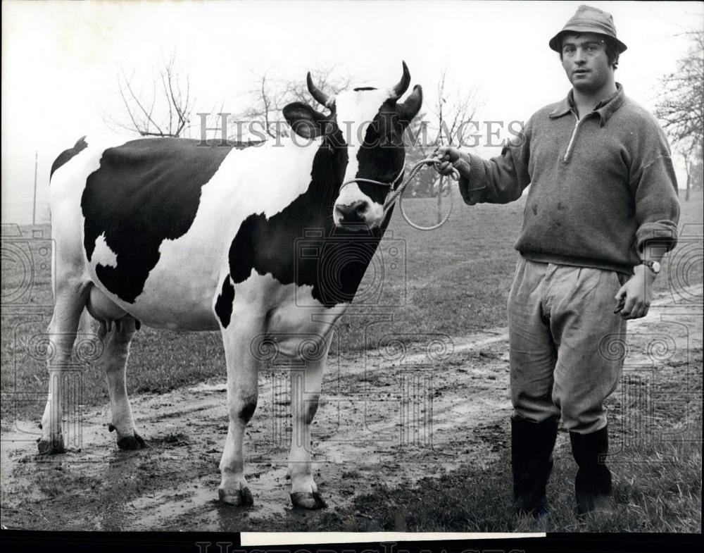 1973 Press Photo &quot;Glaneuse&quot; Wins The Most Beautiful Cow Contest In Fribourg - Historic Images