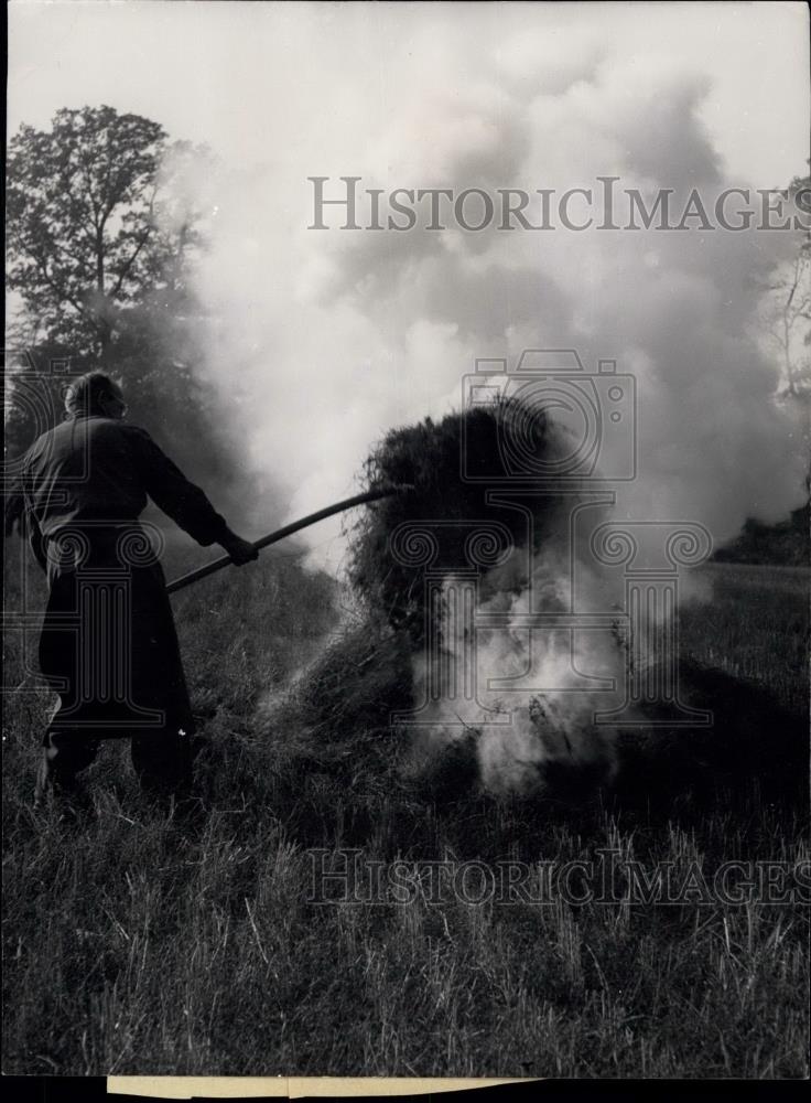 1953 Press Photo Harvest remains being burnt up - Historic Images