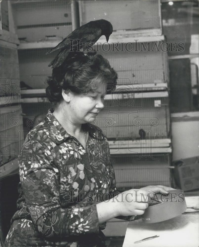 Press Photo Mrs. Margaret Jeffery and her bird perched in her head - Historic Images